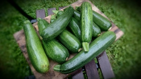 So so many courgettes